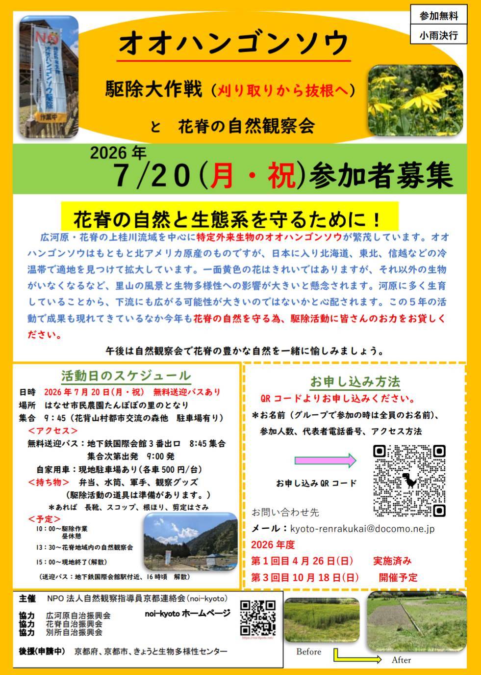 大作戦チラシ