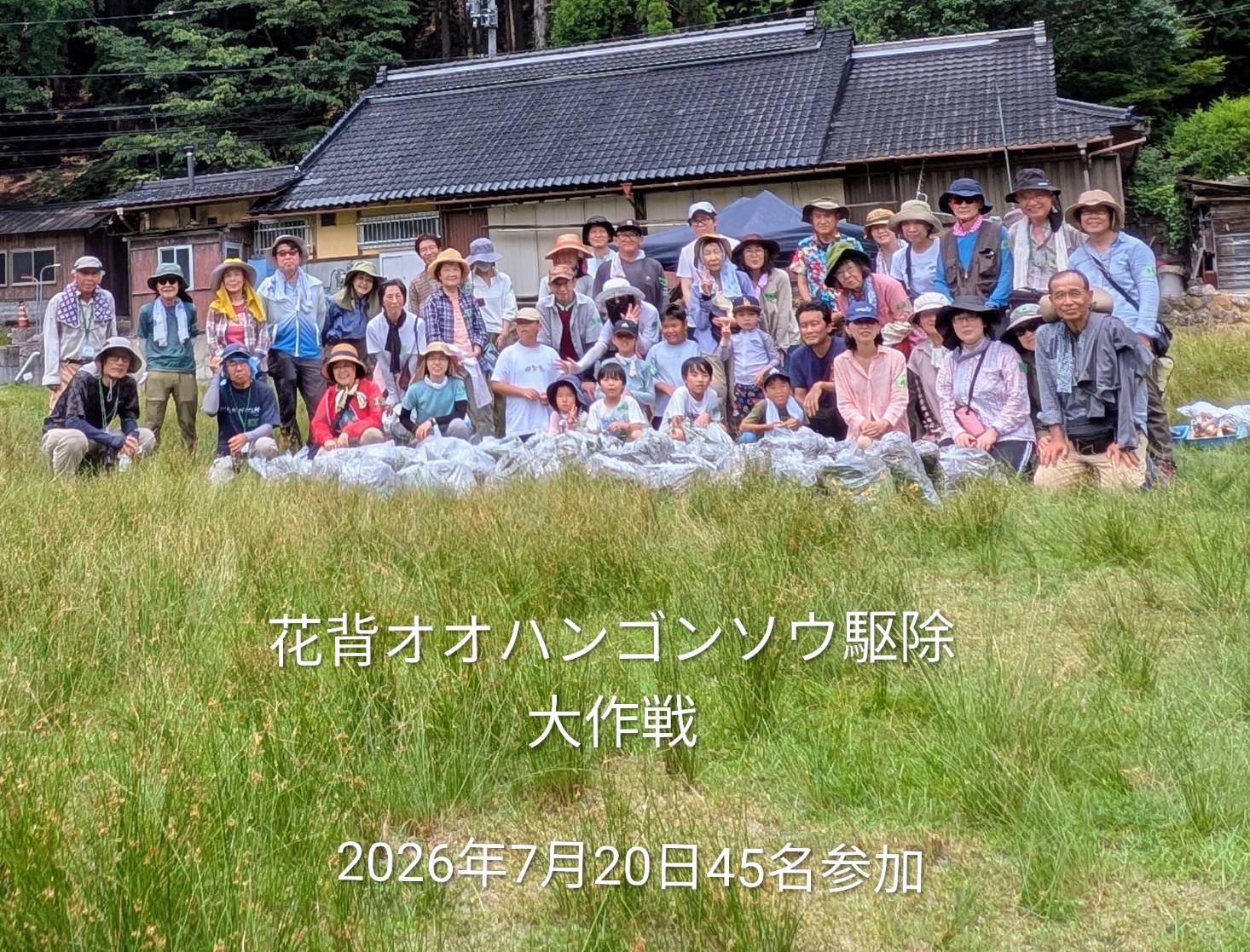 活動写真